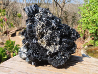 Natural Extra Large Splayed Schorl Black Tourmaline & Vermiculite Specimen x 1 From Erongo, Namibia
