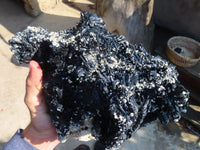 Natural Extra Large Splayed Schorl Black Tourmaline & Vermiculite Specimen x 1 From Erongo, Namibia