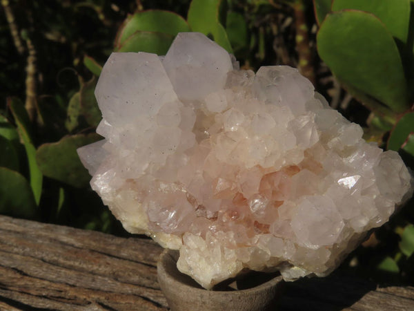 Natural White Spirit Quartz Clusters  x 6 From Boekenhouthoek, South Africa - Toprock Gemstones and Minerals 