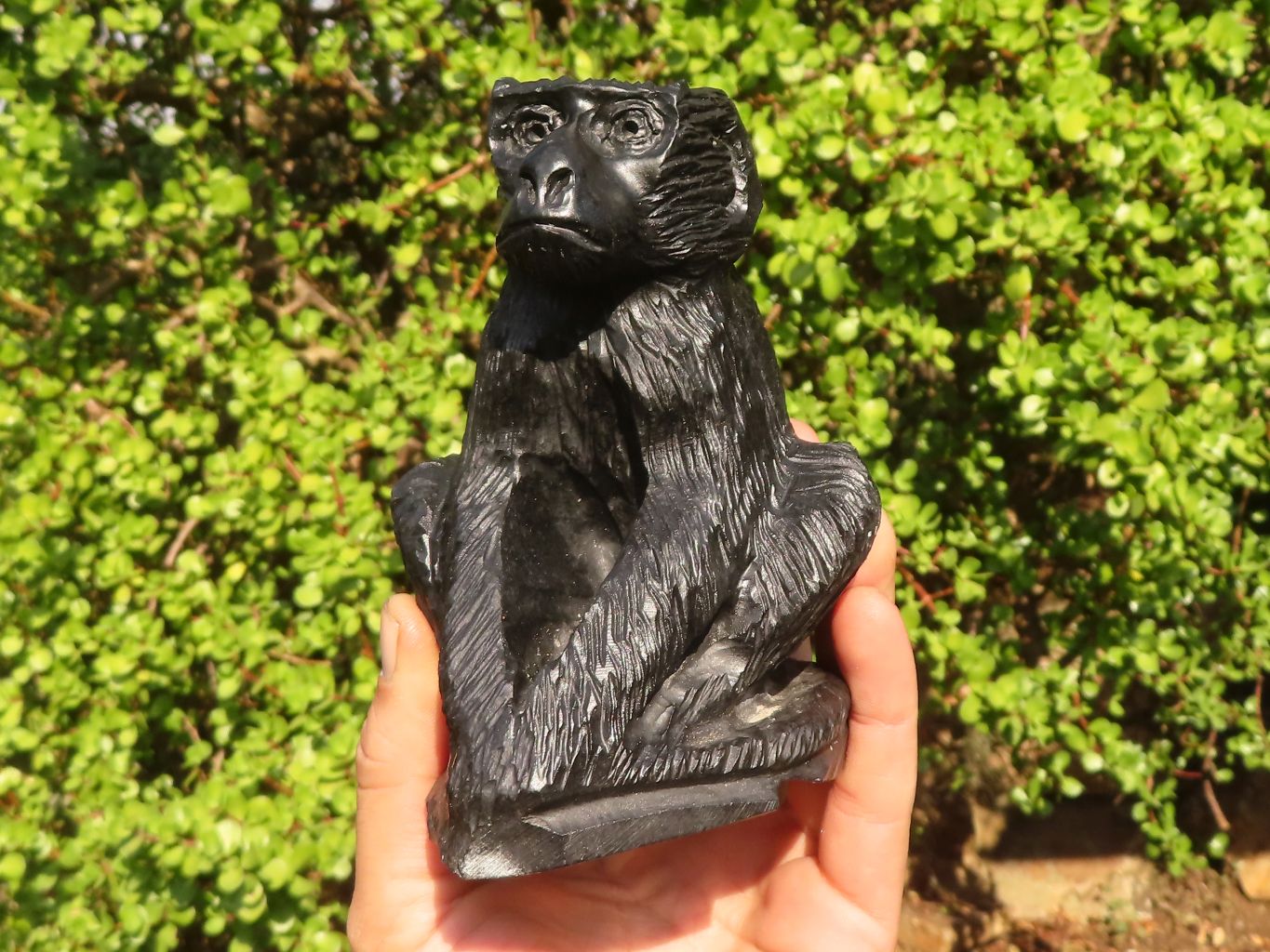Polished  Black Soapstone Baboon Carving x 1 From Zimbabwe - Toprock Gemstones and Minerals 
