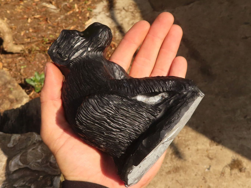 Polished  Black Soapstone Baboon Carving x 1 From Zimbabwe - Toprock Gemstones and Minerals 