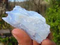 Natural Etched Blue Chalcedony Specimens  x 12 From Nsanje, Malawi - Toprock Gemstones and Minerals 