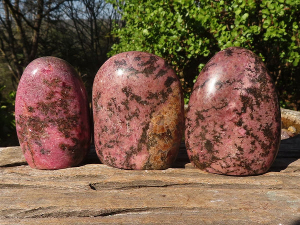 Polished Pink Rhodonite Standing Free Forms  x 3 From Zimbabwe - Toprock Gemstones and Minerals 