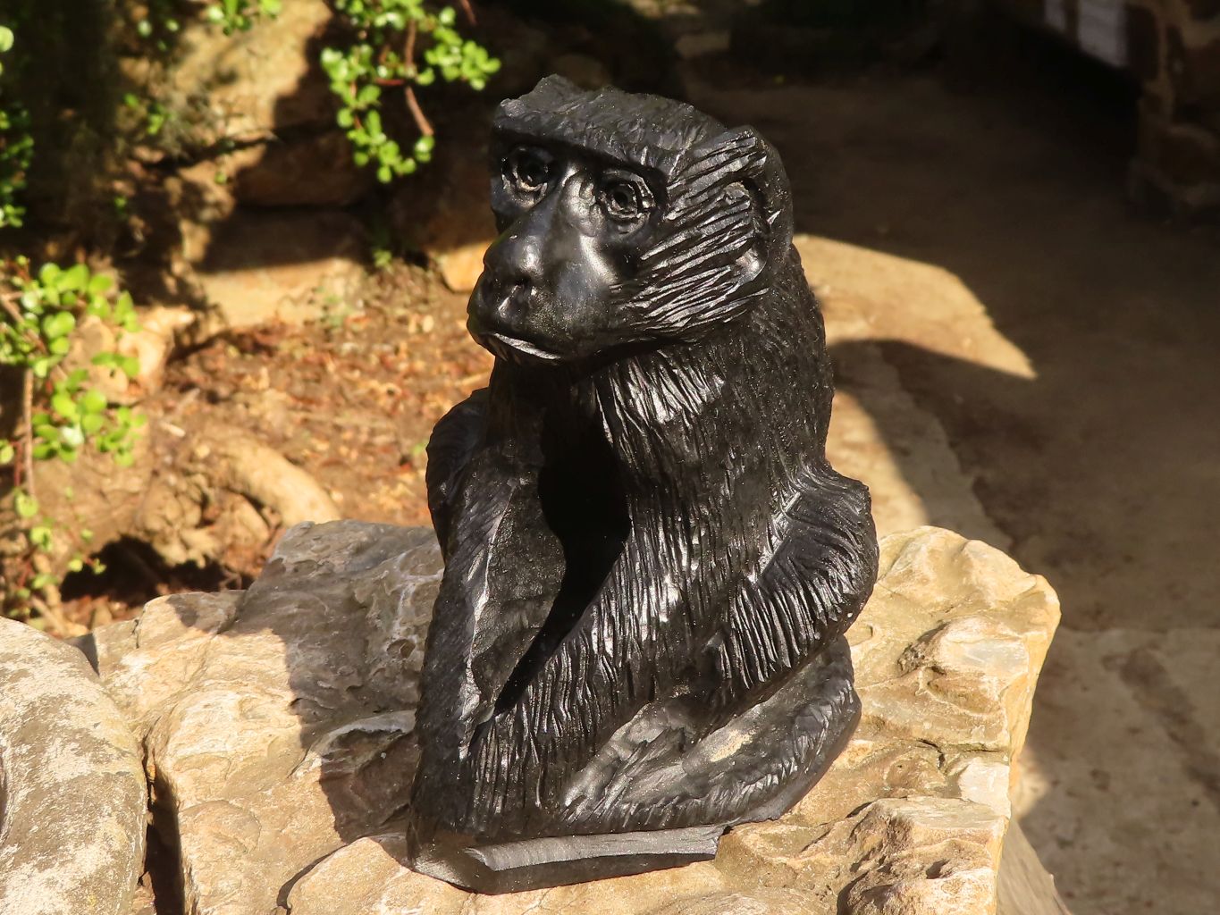 Polished  Black Soapstone Baboon Carving x 1 From Zimbabwe - Toprock Gemstones and Minerals 