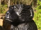 Polished  Black Soapstone Baboon Carving x 1 From Zimbabwe - Toprock Gemstones and Minerals 