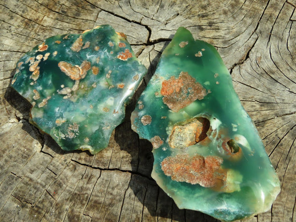Polished  One Side Mtorolite Pieces x 2 From Mutorashanga, Zimbabwe - TopRock