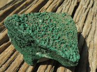 Natural Crystalline Micro Botryoidal Malachite Specimens  x 6 From Tenke Fungurume, Congo - TopRock