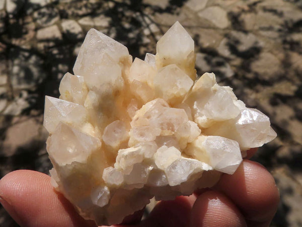 Natural Pineapple Quartz Crystals  x 24 From Antsirabe, Madagascar - TopRock