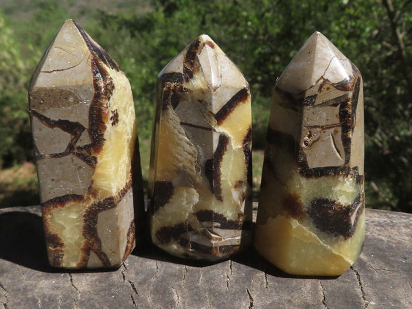 Polished Calcite & Aragonite Crystal Points or Prisms x 12 From Mahajanga, Madagascar - TopRock