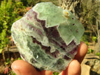 Polished  One Side Polished Watermelon Fluorite Pieces  x 12 From Uis, Namibia - Toprock Gemstones and Minerals 