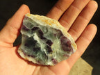Polished  One Side Polished Watermelon Fluorite Pieces  x 12 From Uis, Namibia - Toprock Gemstones and Minerals 