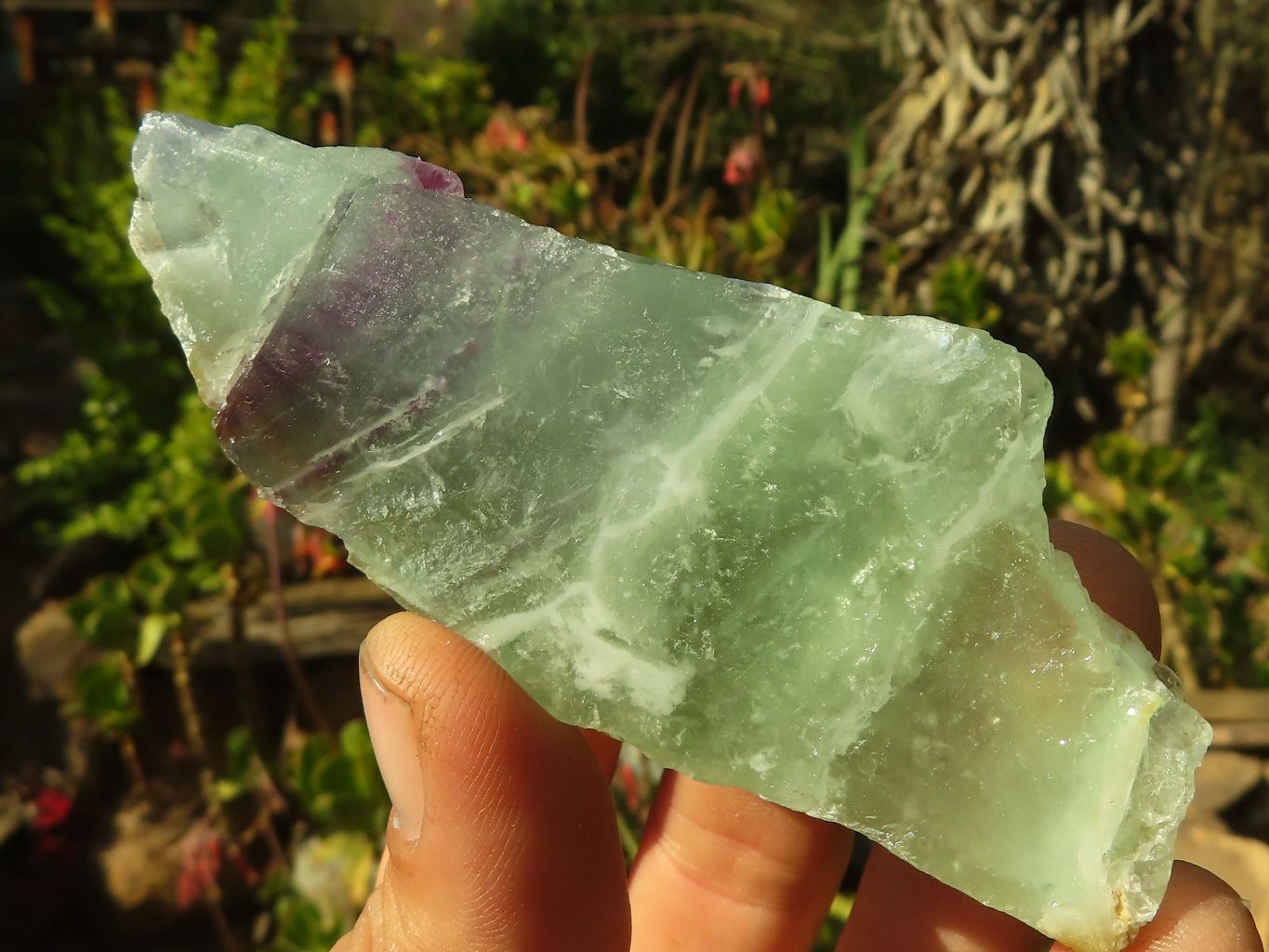 Polished  One Side Polished Watermelon Fluorite Pieces  x 12 From Uis, Namibia - Toprock Gemstones and Minerals 