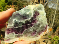 Polished  One Side Polished Watermelon Fluorite Pieces  x 12 From Uis, Namibia - Toprock Gemstones and Minerals 