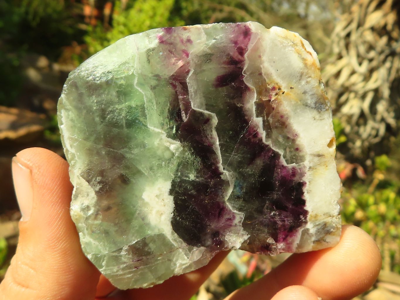Polished  One Side Polished Watermelon Fluorite Pieces  x 12 From Uis, Namibia - Toprock Gemstones and Minerals 
