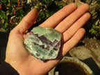 Polished  One Side Polished Watermelon Fluorite Pieces  x 12 From Uis, Namibia - Toprock Gemstones and Minerals 