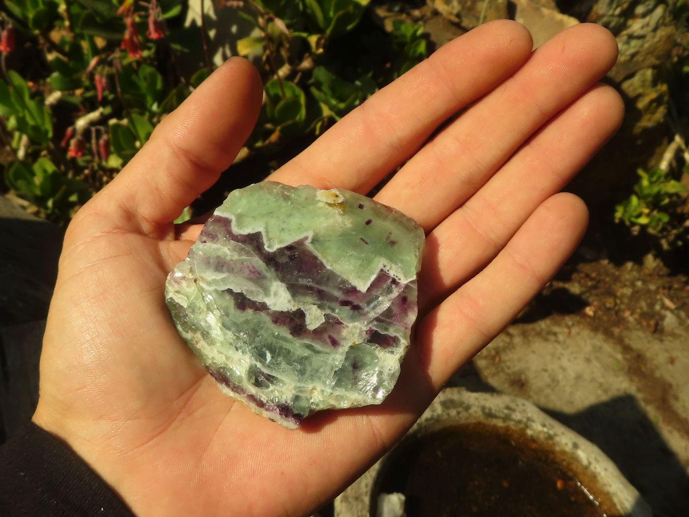 Polished  One Side Polished Watermelon Fluorite Pieces  x 12 From Uis, Namibia - Toprock Gemstones and Minerals 