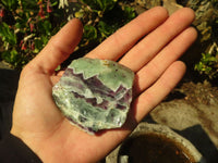 Polished  One Side Polished Watermelon Fluorite Pieces  x 12 From Uis, Namibia - Toprock Gemstones and Minerals 