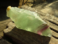 Polished  One Side Polished Watermelon Fluorite Pieces  x 12 From Uis, Namibia - Toprock Gemstones and Minerals 