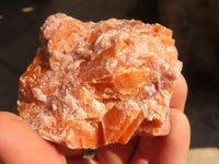 Natural New Sunset Orange Calcite Specimens  x 12 From Spitzkop, Namibia - Toprock Gemstones and Minerals 
