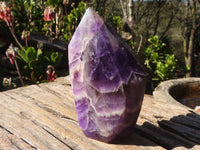 Polished Deep Purple Chevron Amethyst Points  x 2 From Zambia - Toprock Gemstones and Minerals 
