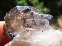 Natural Mixed Selection Of Brandberg Quartz Specimens  x 6 From Namibia - TopRock