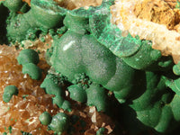 Natural Rare XXL Ball Malachite On Drusy Quartz & Dolomite Specimen x 1 From Kambove, Congo - Toprock Gemstones and Minerals 
