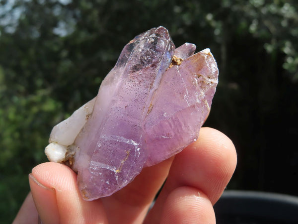 Natural Smokey Amethyst Window Quartz Crystals x 12 From Chiredzi, Zimbabwe - TopRock