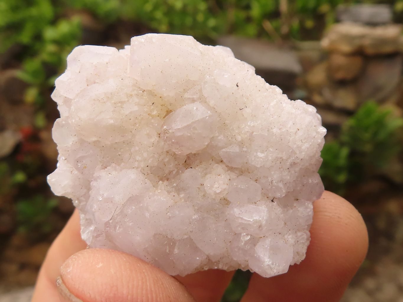 Natural Small White Spirit Quartz Specimens  x 35 From Boekenhouthoek, South Africa - Toprock Gemstones and Minerals 