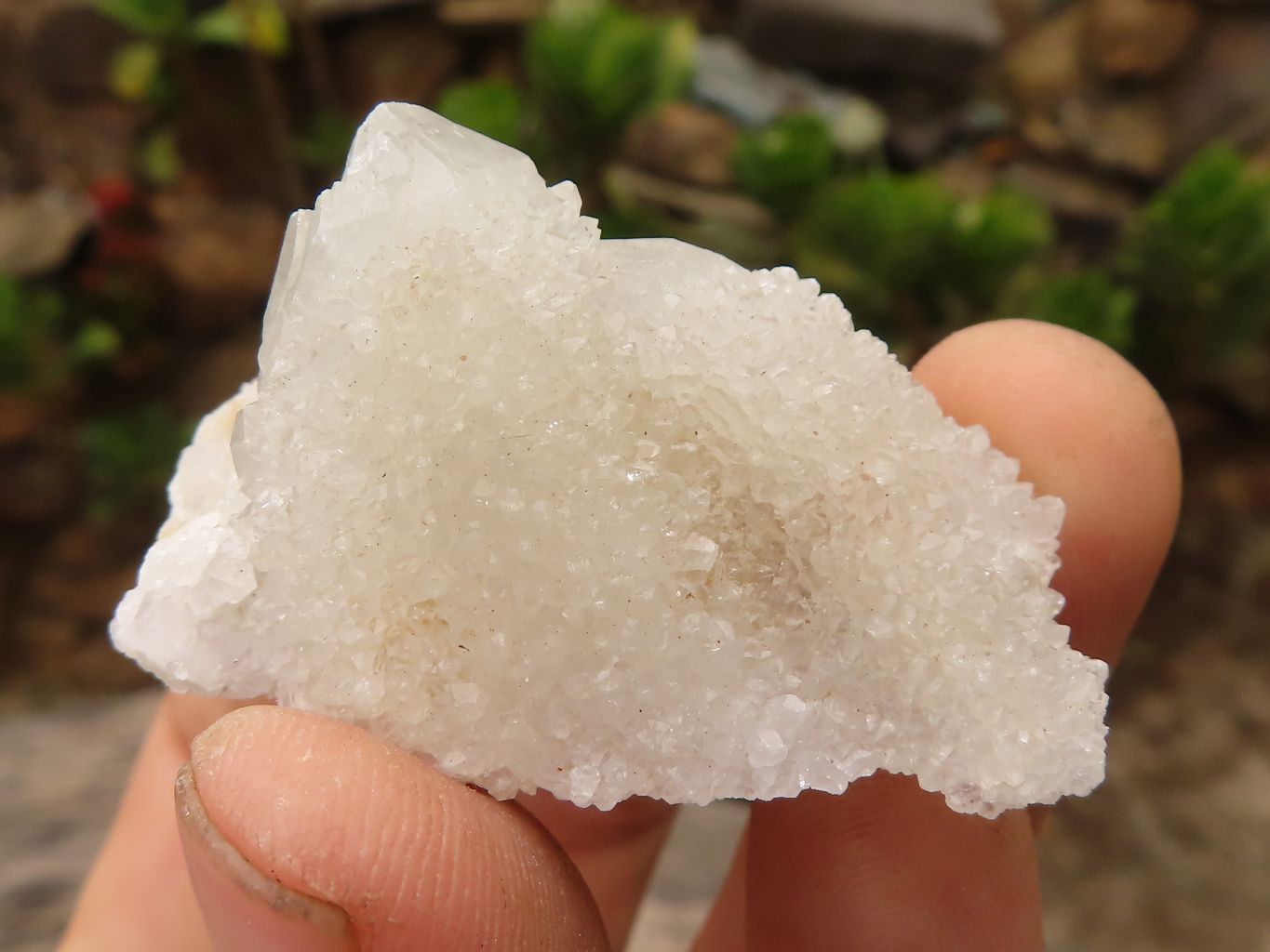 Natural Small White Spirit Quartz Specimens  x 35 From Boekenhouthoek, South Africa - Toprock Gemstones and Minerals 