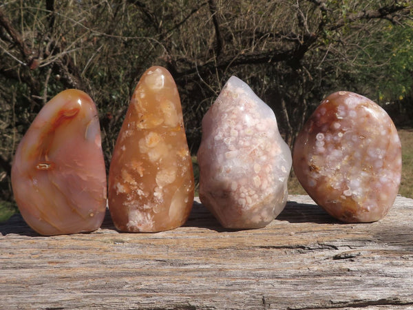 Polished Gorgeous Selection Of Coral Flower Agate Standing Free Forms & One Flame  x 4 From Maintirano, Madagascar - TopRock