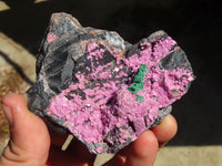 Natural Pink Salrose Cobaltion Dolomite Specimens  x 6 From Kakanda, Congo - Toprock Gemstones and Minerals 