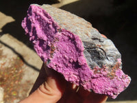 Natural Pink Salrose Cobaltion Dolomite Specimens  x 6 From Kakanda, Congo - Toprock Gemstones and Minerals 