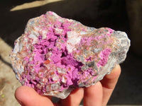Natural Pink Salrose Cobaltion Dolomite Specimens  x 6 From Kakanda, Congo - Toprock Gemstones and Minerals 