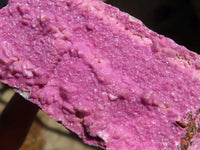 Natural Pink Salrose Cobaltion Dolomite Specimens  x 6 From Kakanda, Congo - Toprock Gemstones and Minerals 