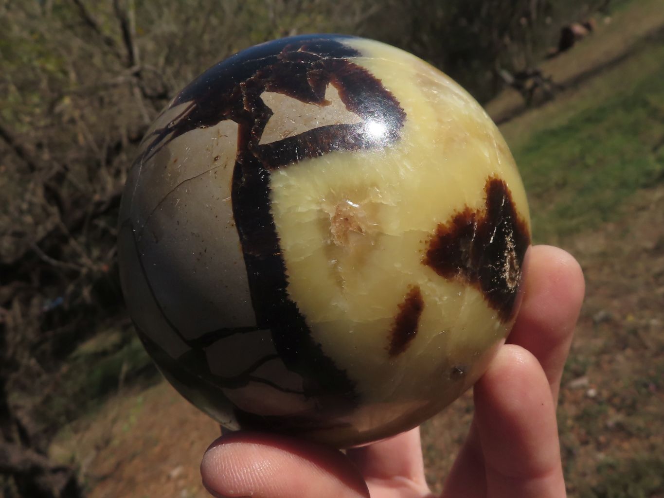 Polished Pair Of Septerye (Calcite & Aragonite) Spheres  x 2 From Mahajanga, Madagascar - TopRock