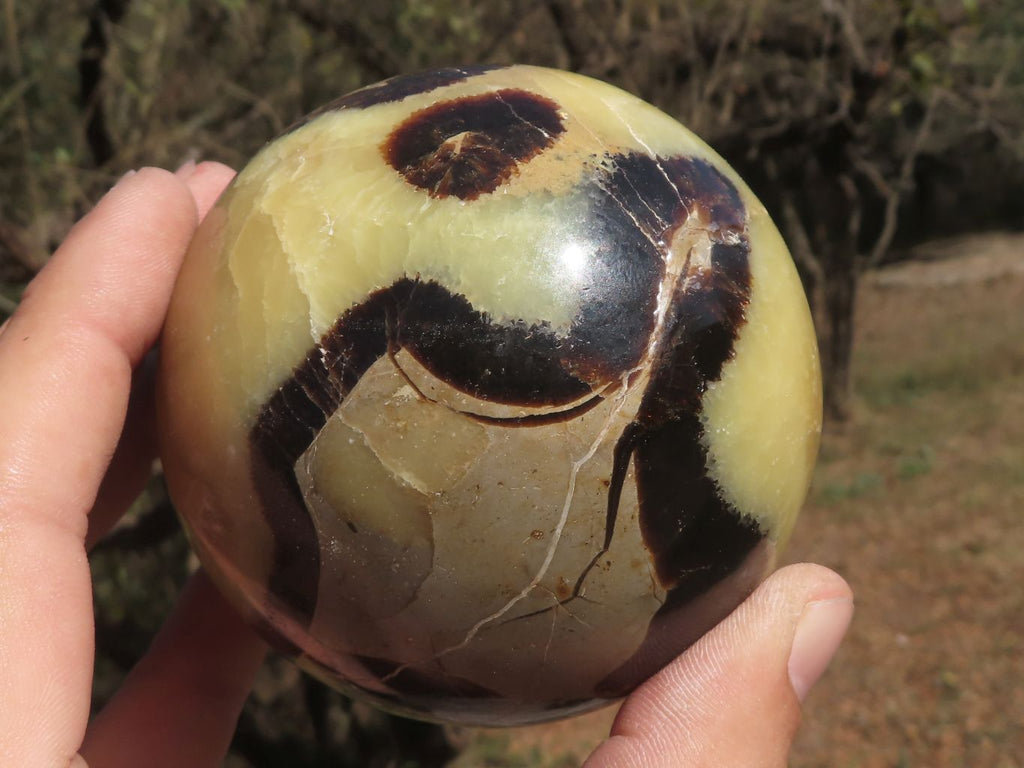 Polished Pair Of Septerye (Calcite & Aragonite) Spheres  x 2 From Mahajanga, Madagascar - TopRock