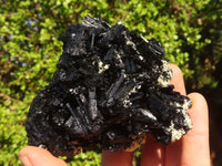 Natural Schorl Black Tourmaline Specimens x 2 From Erongo, Namibia