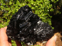 Natural Schorl Black Tourmaline Specimens x 2 From Erongo, Namibia