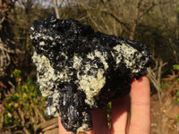 Natural Schorl Black Tourmaline Specimens x 2 From Erongo, Namibia