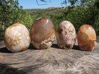 Polished Coral Flower Agate Standing Free Forms  x 4 From Madagascar - TopRock