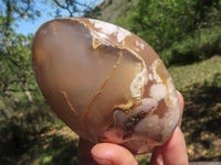 Polished Coral Flower Agate Standing Free Forms  x 4 From Madagascar - TopRock