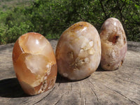 Polished Coral Flower Agate Standing Free Forms  x 4 From Madagascar - TopRock