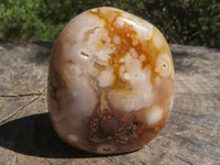 Polished Coral Flower Agate Standing Free Forms  x 4 From Madagascar - TopRock