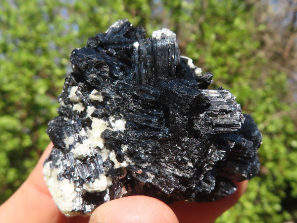 Natural Schorl Black Tourmaline Specimens  x 12 From Erongo, Namibia - Toprock Gemstones and Minerals 