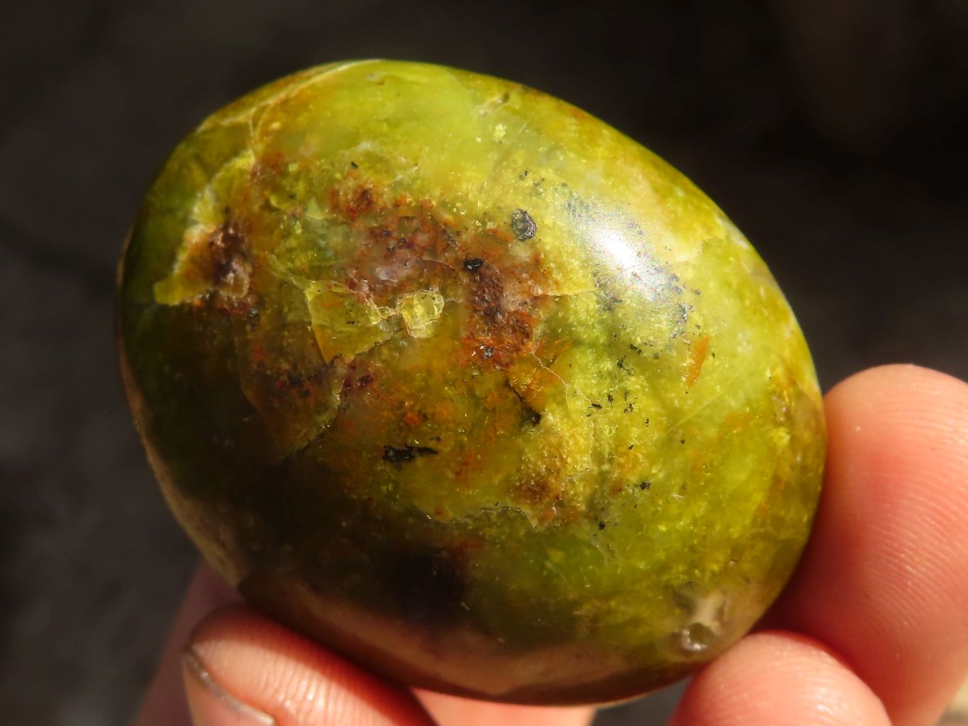 Polished  Green Opal Galet / Palm Stones x 12 From Antsirabe, Madagascar - Toprock Gemstones and Minerals 