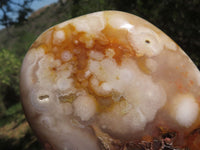 Polished Coral Flower Agate Standing Free Forms  x 4 From Madagascar - TopRock