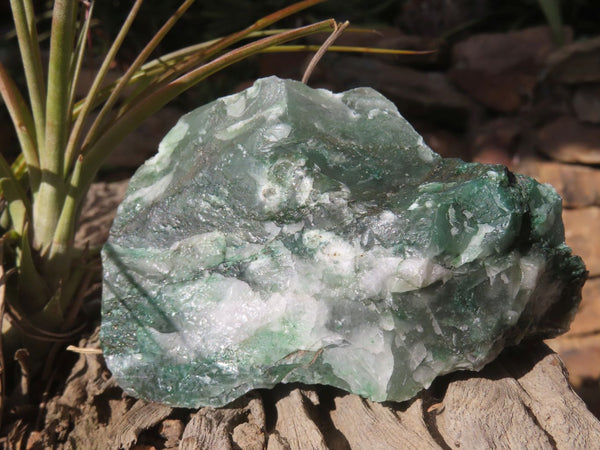 Natural Rough Green Jade Specimens  x 12 From Swaziland