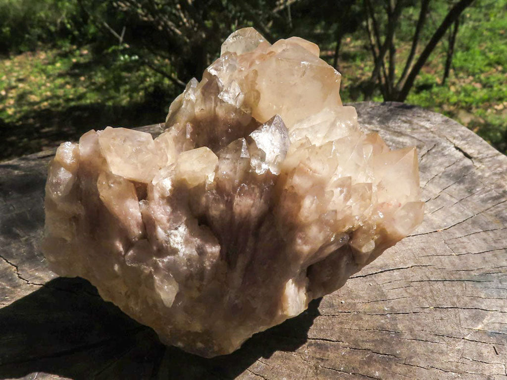 Natural Smokey Phantom Quartz Clusters  x 2 From Luena, Congo - TopRock
