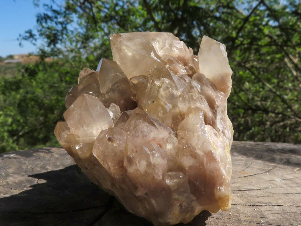 Natural Smokey Phantom Quartz Clusters  x 2 From Luena, Congo - TopRock