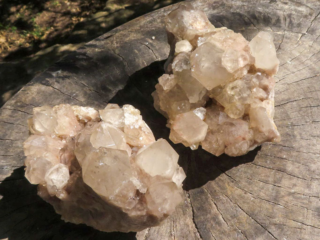 Natural Smokey Phantom Quartz Clusters  x 2 From Luena, Congo - TopRock